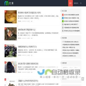 纸灯宠物网|小而美的宠物资讯网站